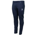 Herrenhose Warrior Alpha X Aspire Jogger