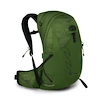 Herrenrucksack OSPREY TALON 22 green belt/black