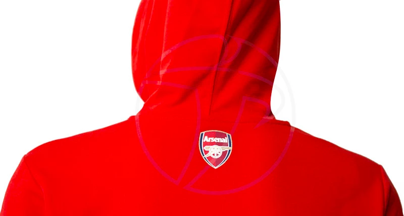 Arsenal puma hoodie online