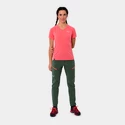 Hosen für Frauen Salewa  Puez DST Raw Green