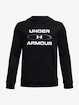 Jungen Hoody  Under Armour  Fleece Graphic HD-BLK