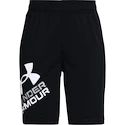 Jungen Shorts Under Armour  Prototype 2.0 Logo Shorts black