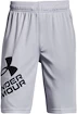 Jungen Shorts Under Armour  Prototype 2.0 Logo Shorts gray M