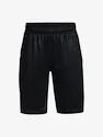 Jungen Shorts Under Armour  Renegade 3.0 PRTD Shorts-BLK S