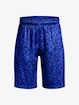 Jungen Shorts Under Armour  Renegade 3.0 PRTD Shorts-BLU