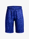 Jungen Shorts Under Armour  Renegade 3.0 PRTD Shorts-BLU