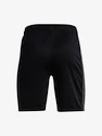 Jungen Shorts Under Armour  Y Challenger Knit Short-BLK