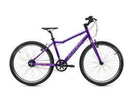 Kinder Fahrrad Academy Grade 5 Belt - 24" Purple