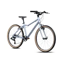 Kinder Fahrrad Academy  Grade 5 Edition - FUNtasy Silver