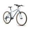 Kinder Fahrrad Academy  Grade 6 Edition - FUNtasy Silver