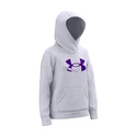 Mädchen Hoodie  Under Armour  Rival Fleece Logo Hoodie-GRY