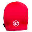 Mütze Warrior  Team Beanie