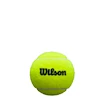 Padelbälle Wilson  Premier Padel Ball X3