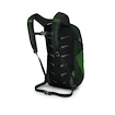 Rucksack OSPREY Daylite green belt/green canopy