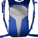 Rucksack Salomon Trailblazer 10 Nebulas Blue