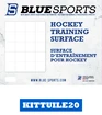 Schießbrett Blue Sports  Hockey Training Surface 20x White