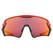 Sport Brille Uvex  Sportstyle 231 Red