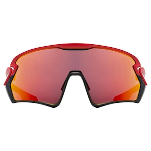 Sport Brille Uvex  Sportstyle 231 Red