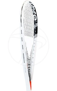 Squashschläger Tecnifibre  Dynergy AP 130