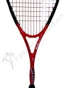 Squashschläger Victor Ashaway I.W. 65 LTD III Re-Edition ´14