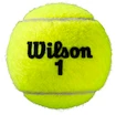 Tennisbälle Wilson  Roland Garros All Court (4 Pack)