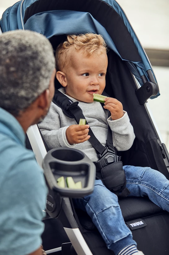 Thule Spring Snack Tray