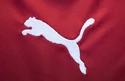 Trikot Puma